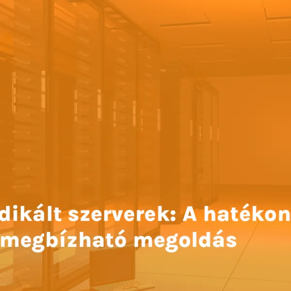 Dedikált szerverek: A hatékony és megbízható megoldás