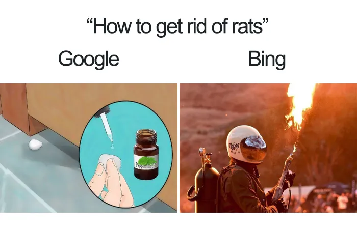 Image Not Found
